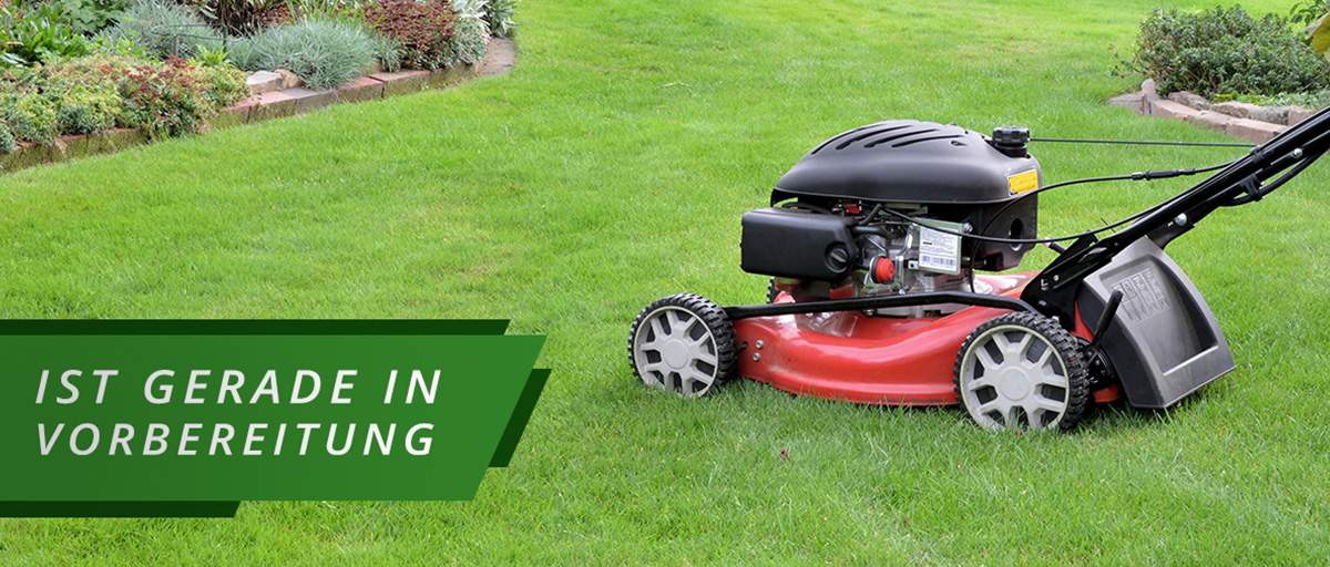 Rasenmäher auf Rasen